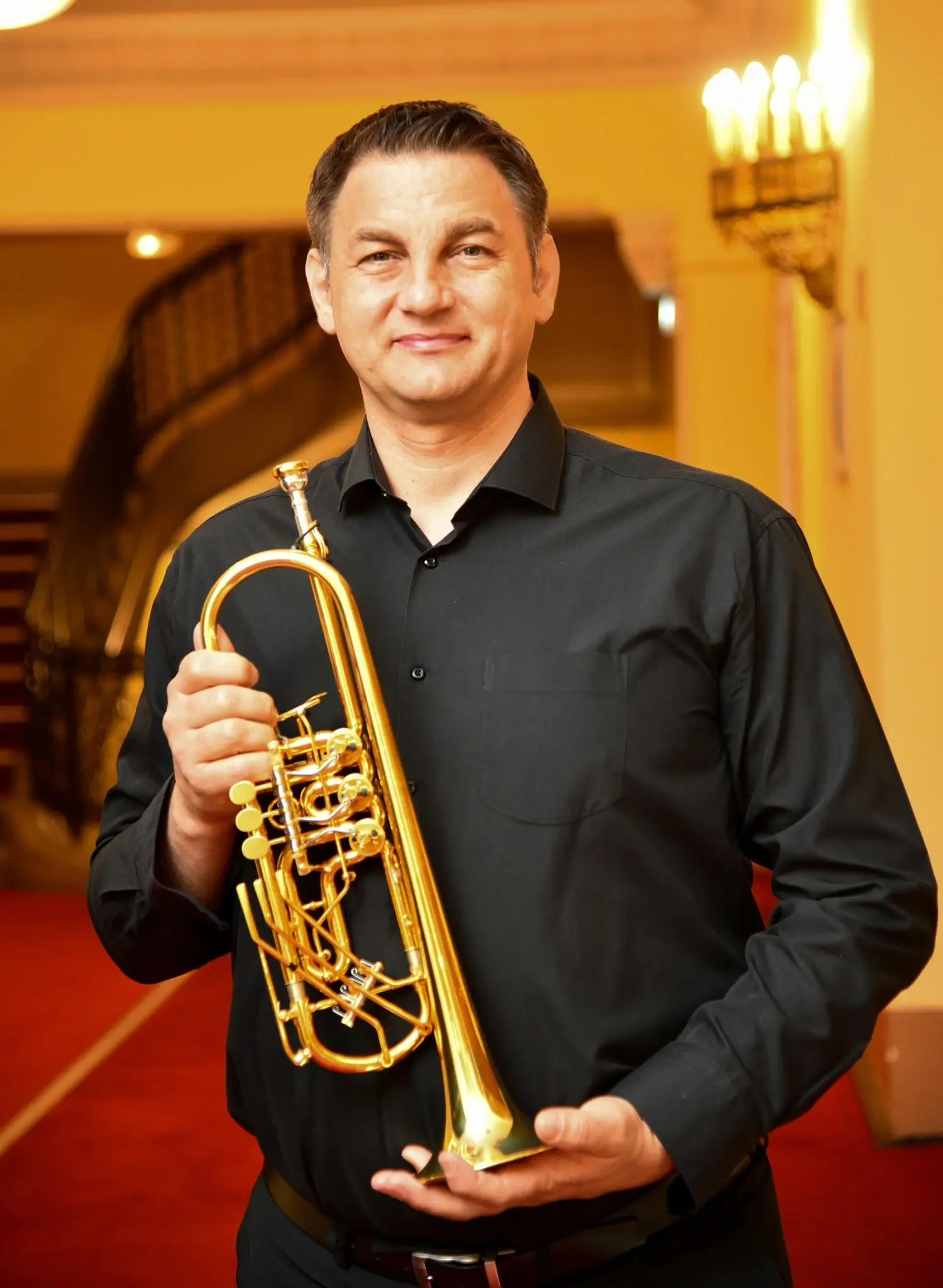 Portret Corneliu Meici